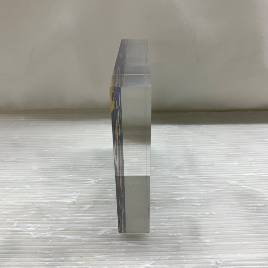 【中古品】 鬼滅の刃　アクリルブロック 竈門炭治郎 禰豆子 我妻善逸 嘴平伊之助 051-260716-YT-05-min 万代Net店